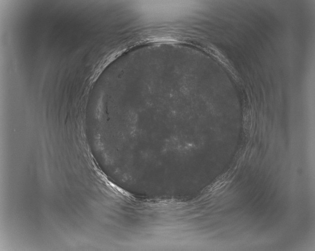 X0000057100385200509091209