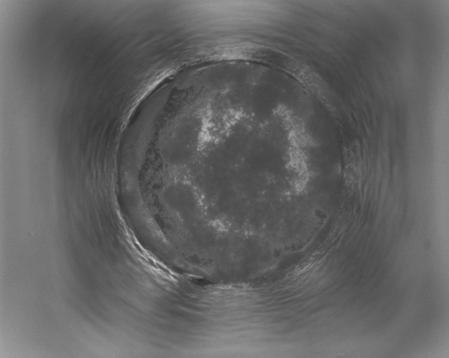 X0000057100386200509091209