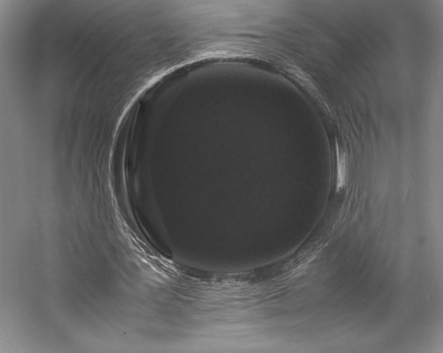 X0000057100387200509091209