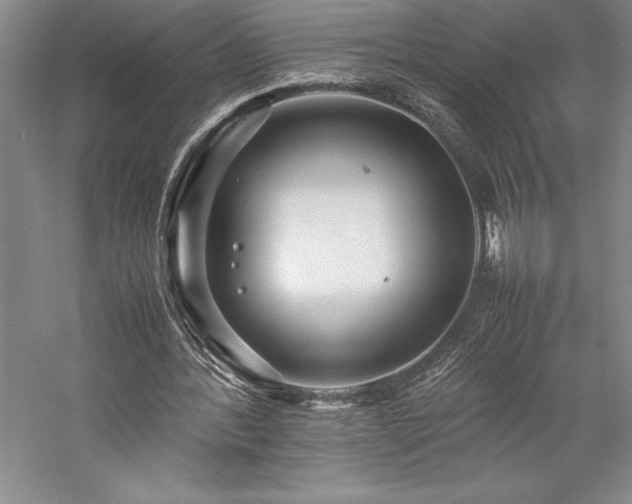 X0000057100388200509091209