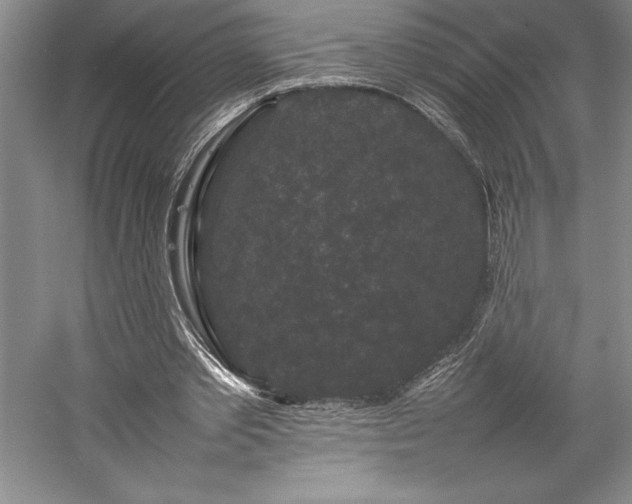 X0000057100389200509091209