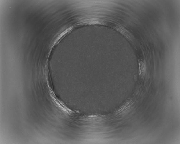 X0000057100390200509091209