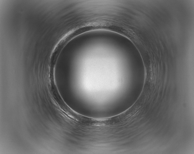 X0000057100392200509091209