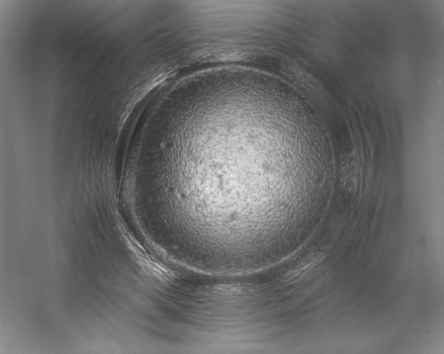 X0000057100394200509091209