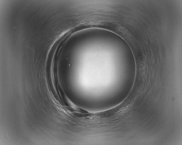 X0000057100395200509091209