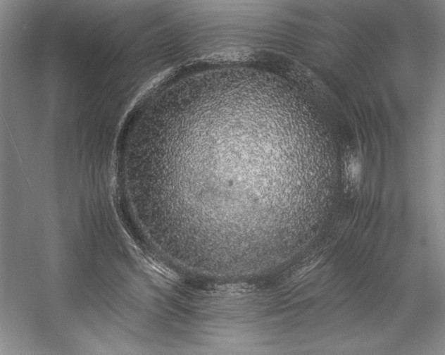 X0000057100396200509091209