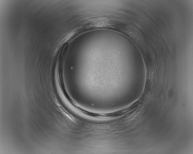 X0000057100397200509091209