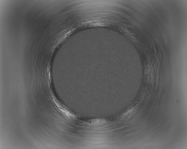 X0000057100398200509091209