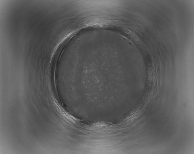 X0000057100399200509091209