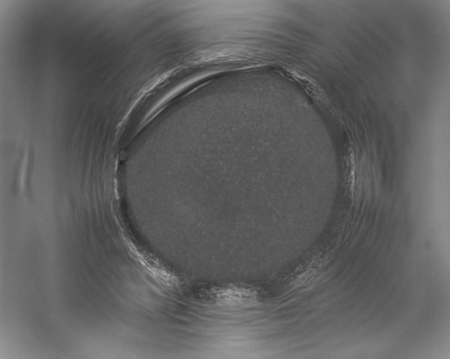 X0000057100400200509091209