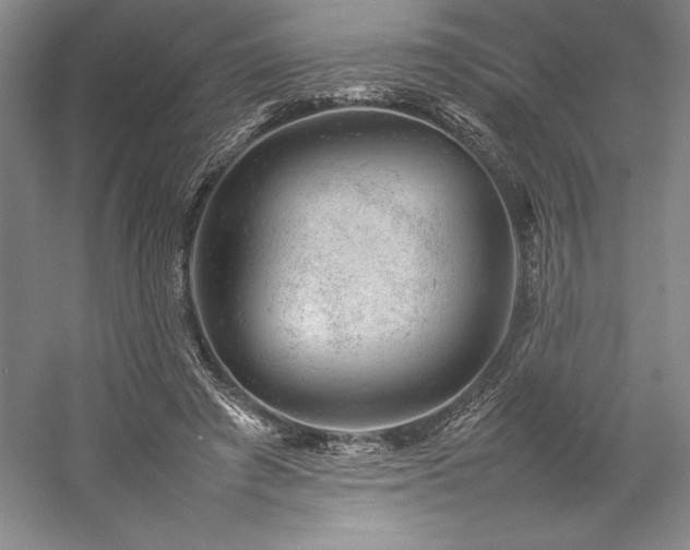 X0000057100401200509091209