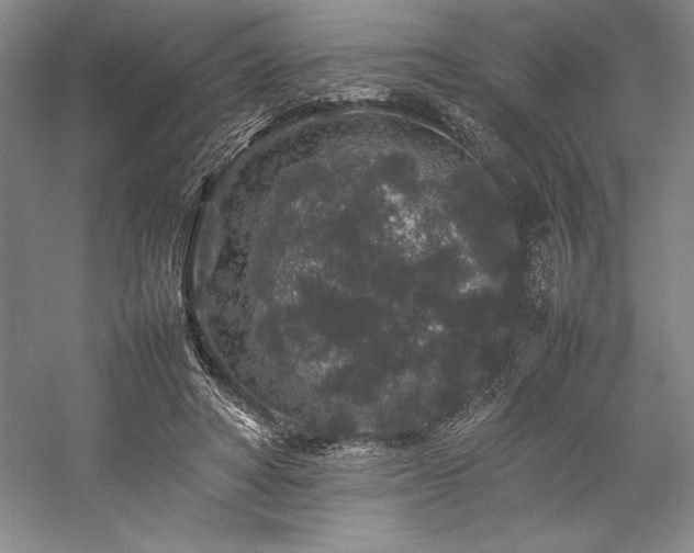 X0000057100402200509091209