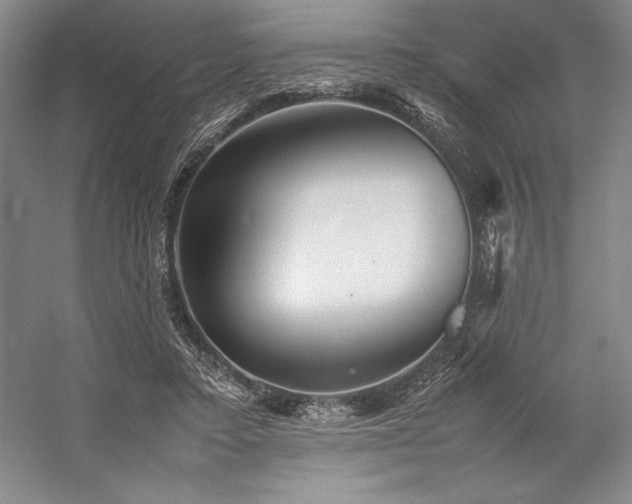 X0000057100403200509091209