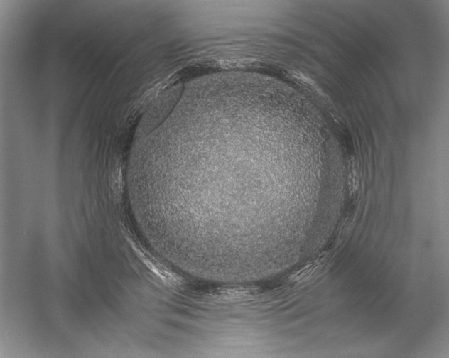 X0000057100405200509091209