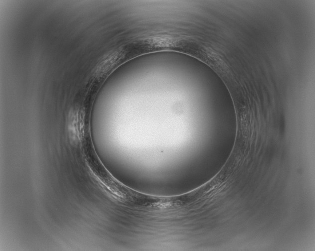 X0000057100406200509091209