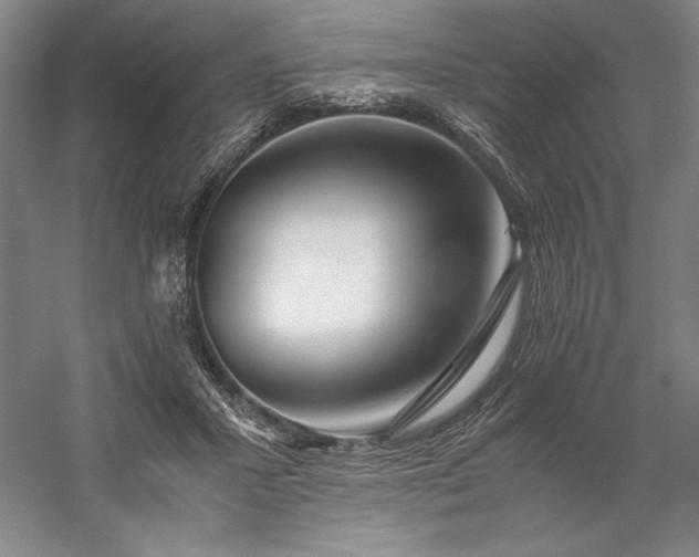 X0000057100407200509091209