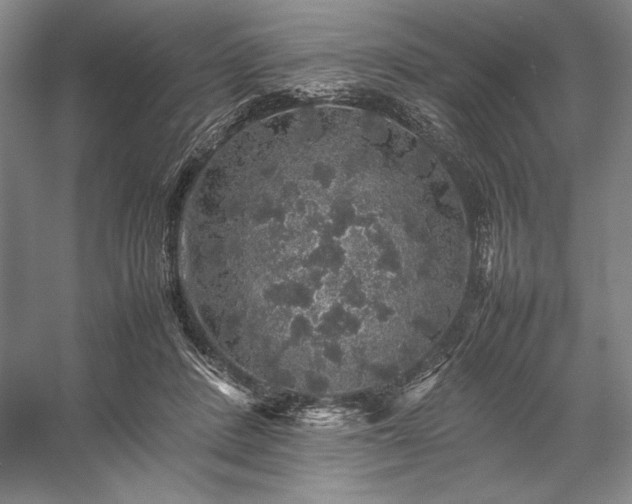 X0000057100408200509091209