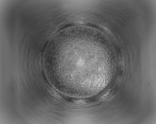 X0000057100409200509091209