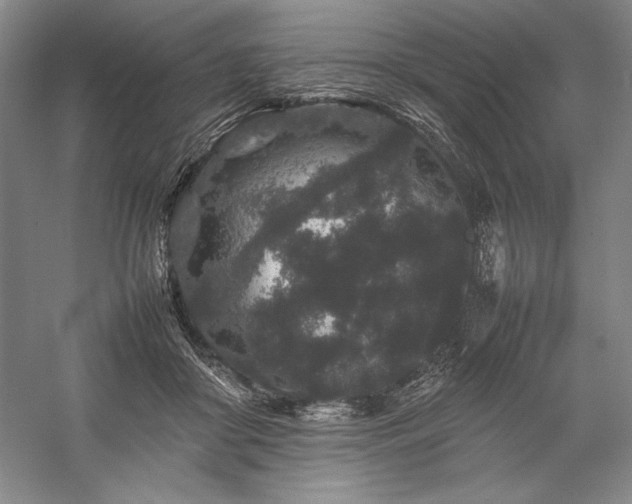 X0000057100410200509091209