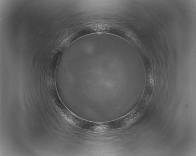 X0000057100411200509091209