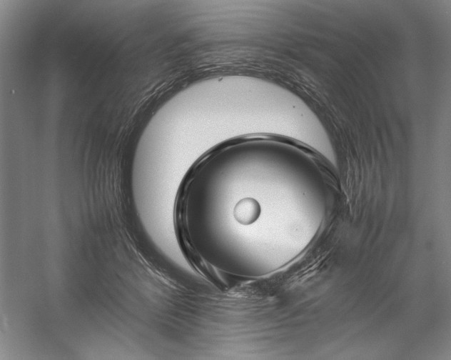 X0000057100412200509091209