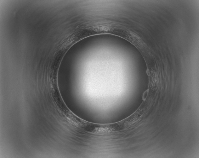 X0000057100414200509091209