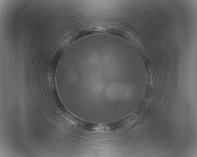 X0000057100415200509091209