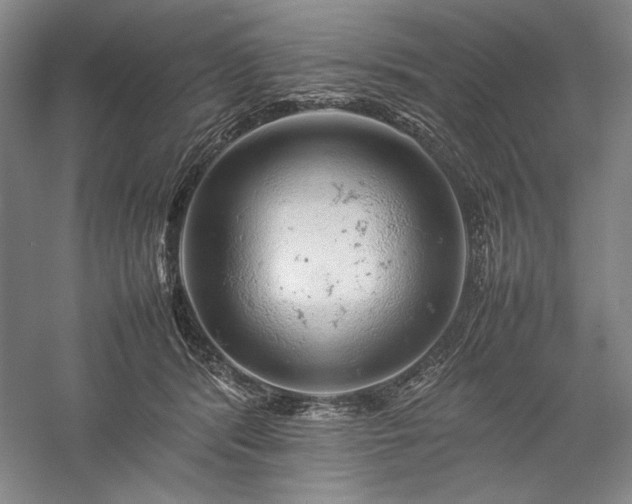 X0000057100416200509091209