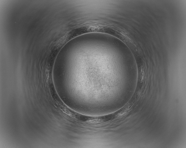 X0000057100417200509091209