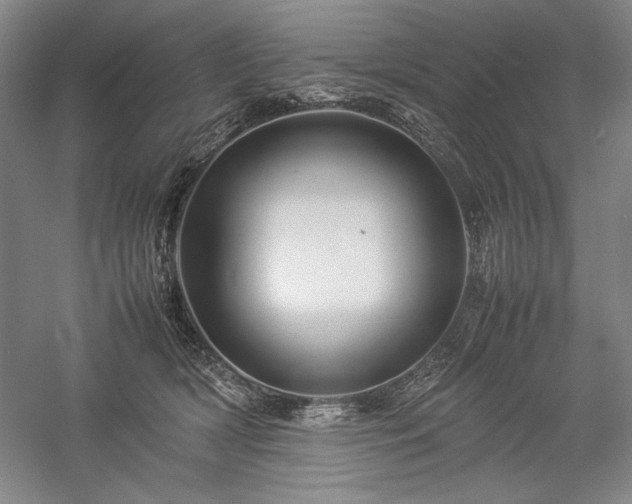 X0000057100418200509091209