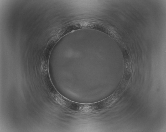 X0000057100419200509091208