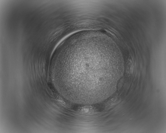 X0000057100420200509091208