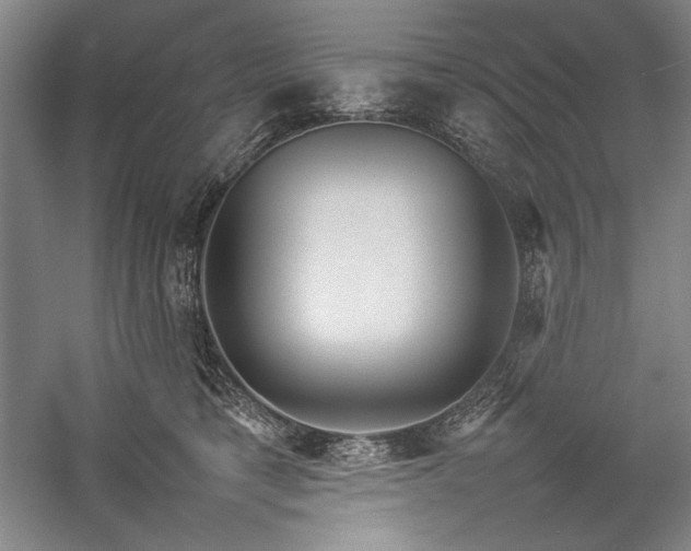 X0000057100421200509091208