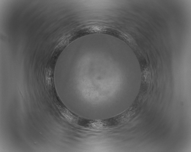 X0000057100423200509091208