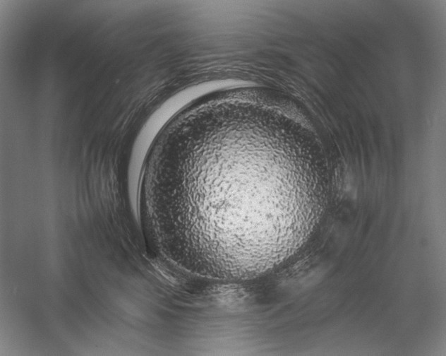 X0000057100424200509091208