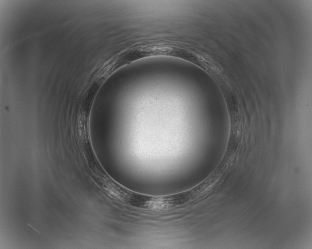 X0000057100425200509091208