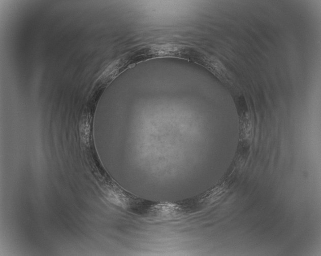 X0000057100427200509091208