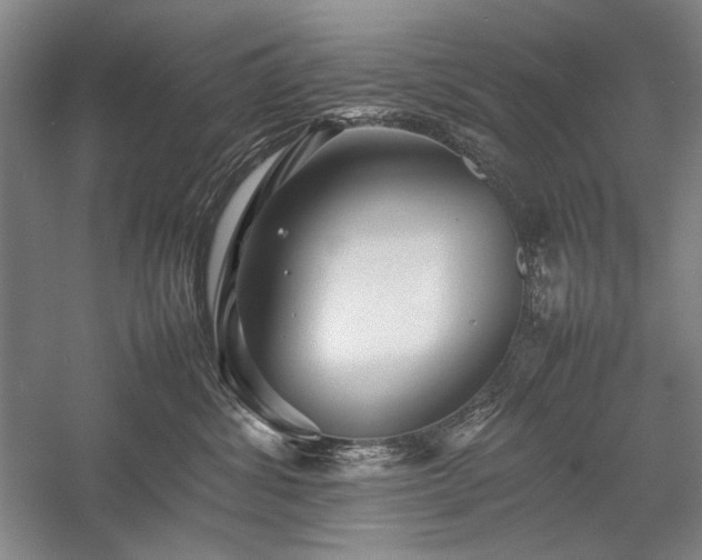 X0000057100428200509091208