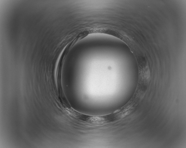 X0000057100429200509091208