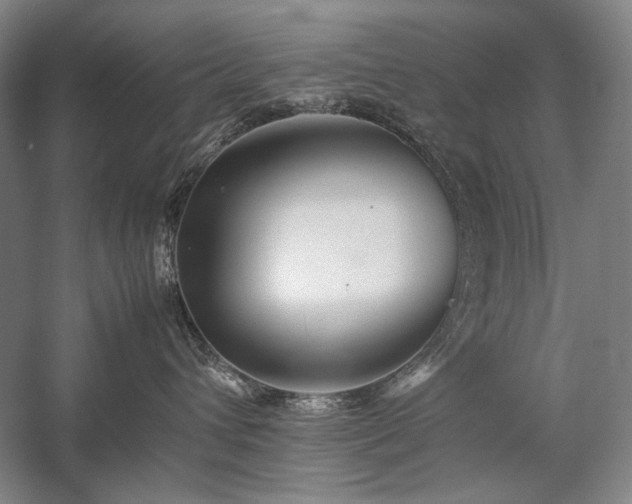 X0000057100432200509091208