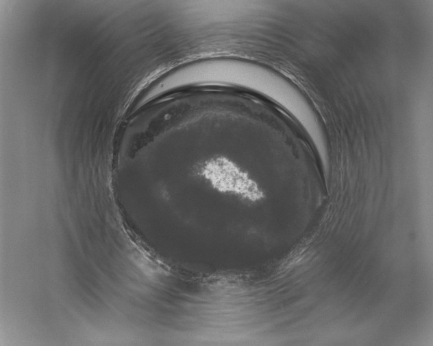 X0000057100434200509091207