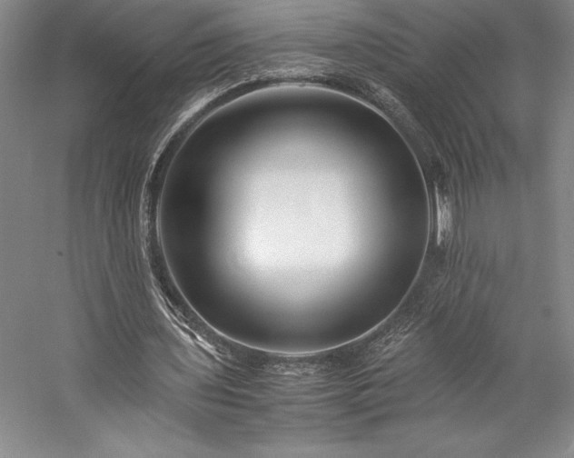 X0000057100435200509091207