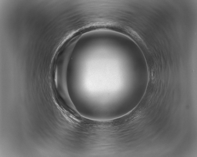 X0000057100436200509091208