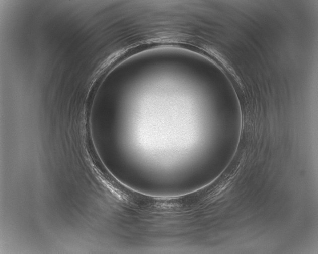 X0000057100437200509091208