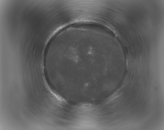 X0000057100438200509091208