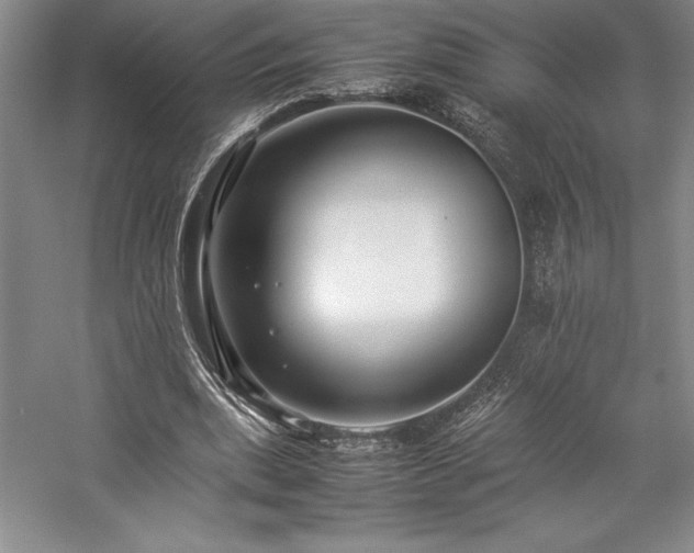 X0000057100439200509091208