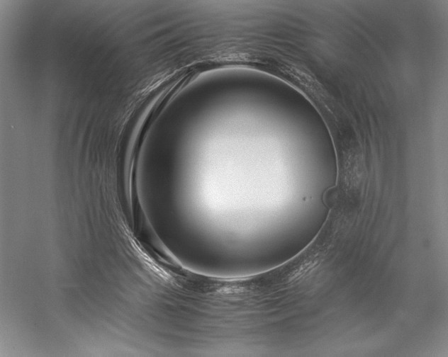 X0000057100441200509091208