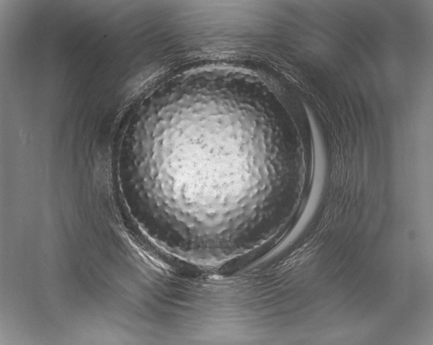 X0000057100442200509091208