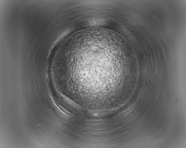 X0000057100443200509091208