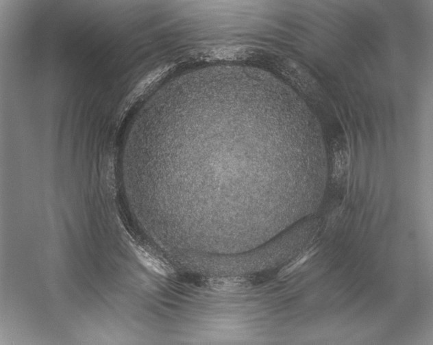 X0000057100444200509091208